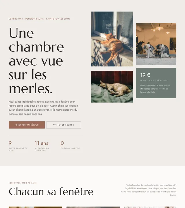 Pension pour chats