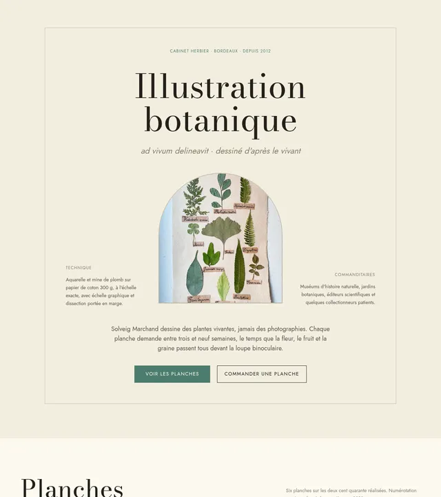 Illustratrice botanique