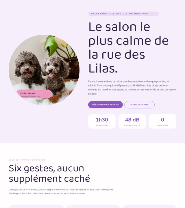 Salon de toilettage