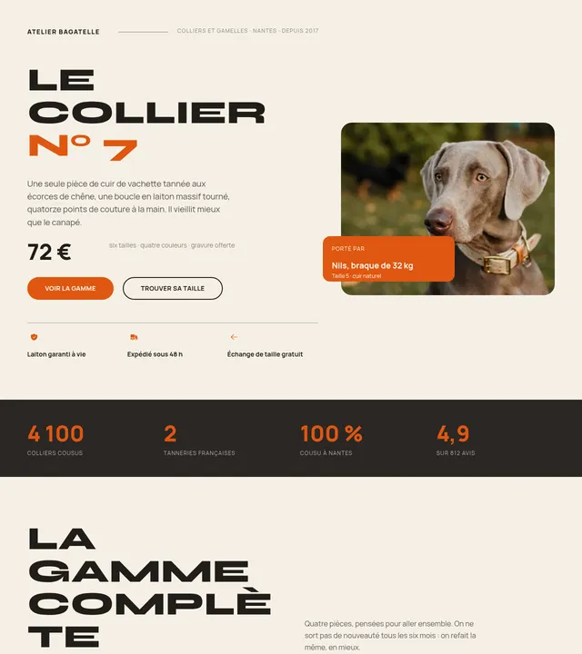 Accessoires pour chiens