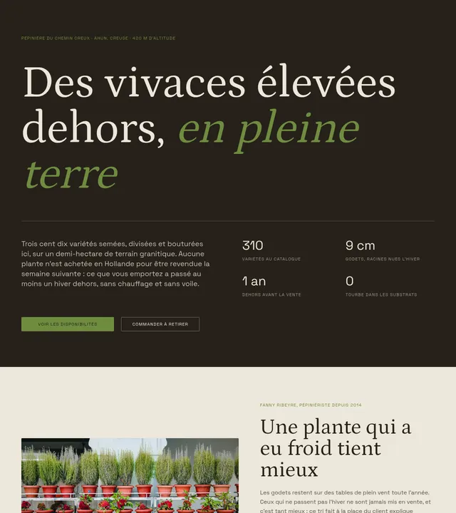 Pépinière de vivaces
